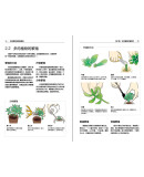 多肉植物活用轻图典 慢生活工坊 著 福建科学技术出版社