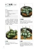 800种多肉植物原色图鉴 ﹝日﹞羽兼直行 著，谭尔玉 译 河南科学技术出版社