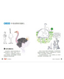 动物观察笔记 张培华，吴晓莉 编 化学工业出版社