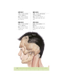 经络穴位快速记忆 查炜 著 江苏科学技术出版社