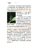 蚂蚁之美:进化的奇景 冉浩 著 清华大学出版社