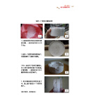 蚂蚁之美:进化的奇景 冉浩 著 清华大学出版社