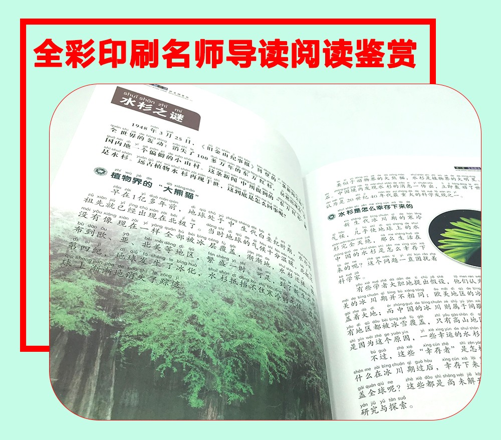 中国未解之谜彩图学生版大全集 自然科学 ufo恐龙宇宙外星人图书 儿童读物9-10-12-15岁少儿