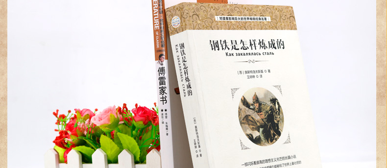 钢铁是怎样炼成的+傅雷家书