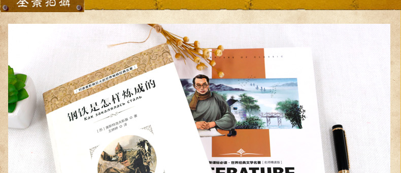钢铁是怎样炼成的+傅雷家书