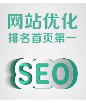 百度排名首页 seo关键词优化 百度推广 网站优化 seo快照服务