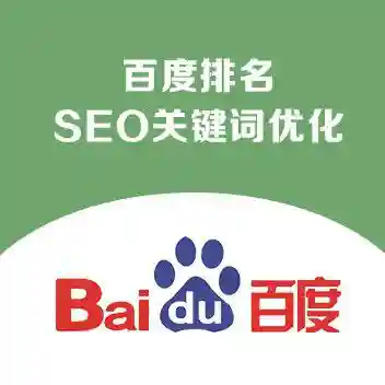 百度排名首页 seo关键词优化 百度推广 网站优化 seo快照服务