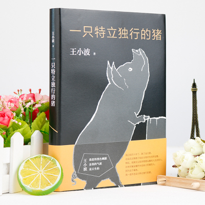 一只特立独行的猪正版现货王小波作品集