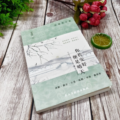 你若安好便是晴天林徽因作品全集詩歌散文小說戲劇書信