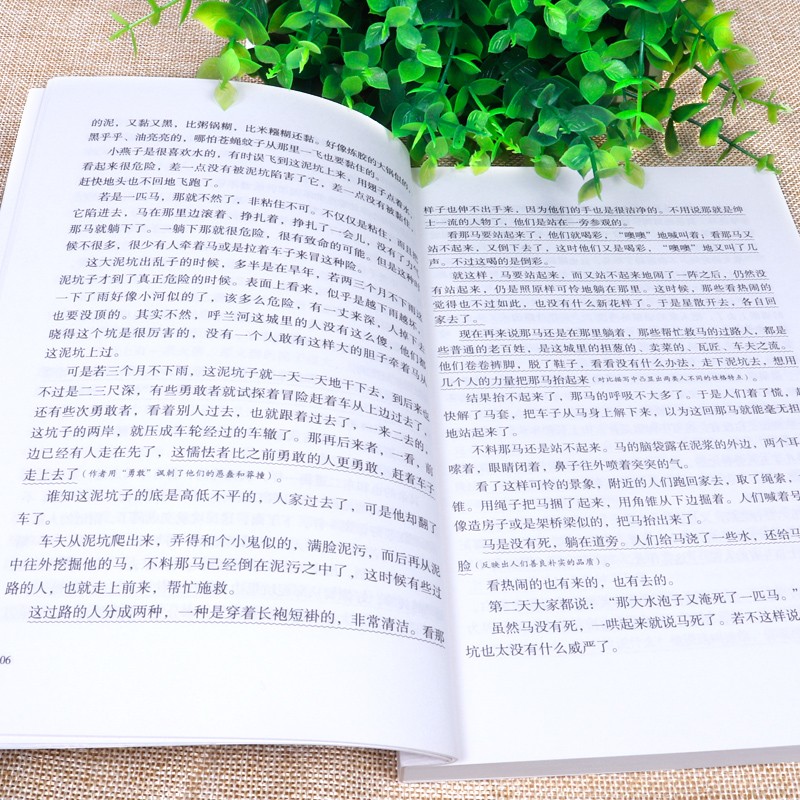呼兰河传原著正版 初中生课外阅读书籍