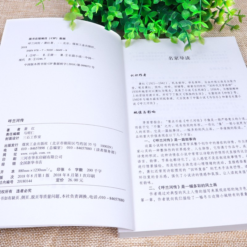 呼兰河传原著正版 初中生课外阅读书籍