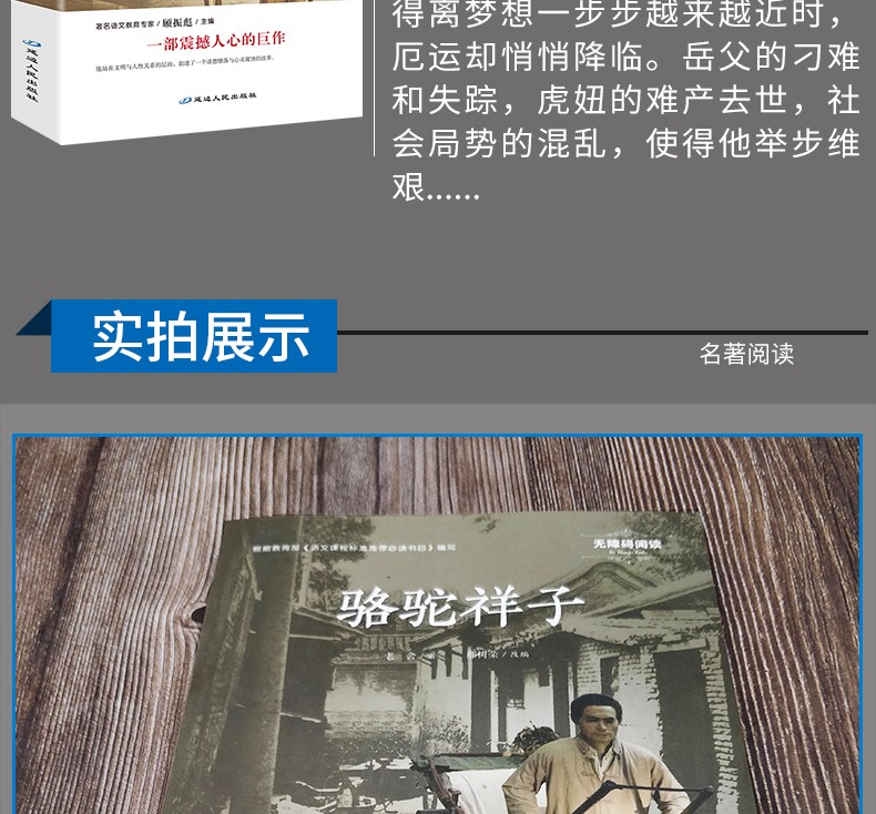骆驼祥子 老舍原著 初中生版 语文新课标必读丛书