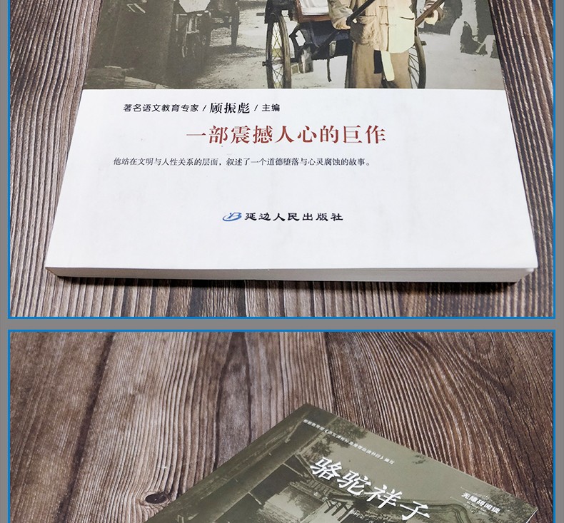 骆驼祥子 老舍原著 初中生版 语文新课标必读丛书