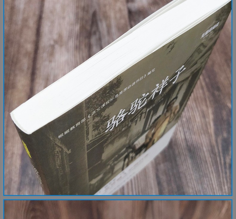 骆驼祥子 老舍原著 初中生版 语文新课标必读丛书