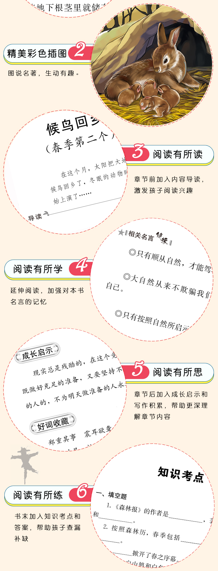 【38元5本】森林报·春 中小学生课外阅读书籍