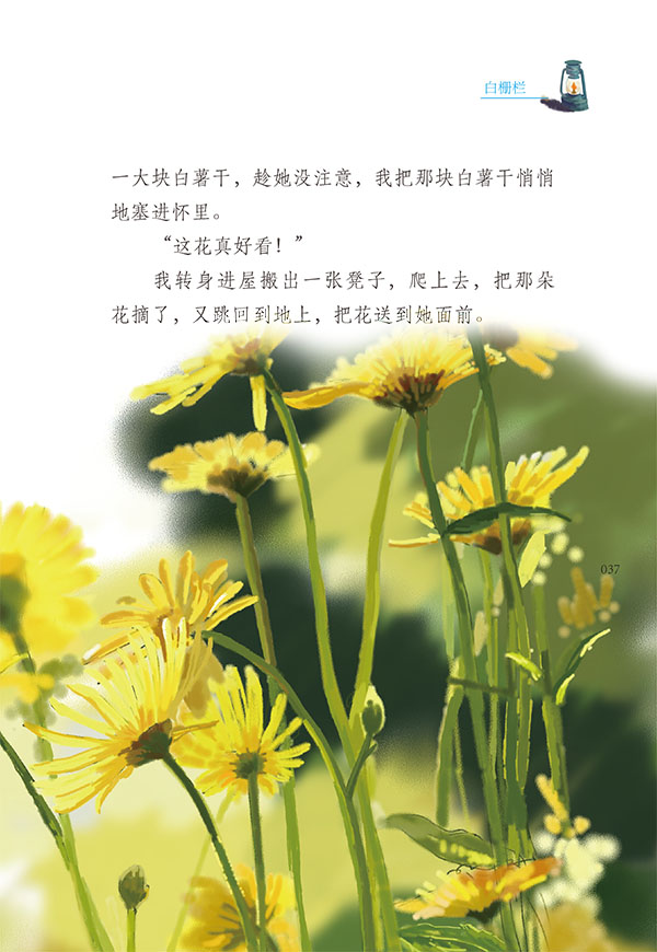 曹文轩水精灵丛书赶牛郎鸟之帆失落的花田呐喊的田螺我的哥哥是风