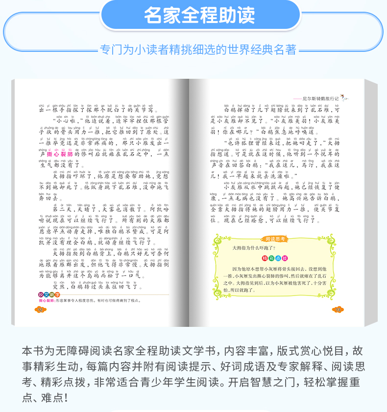彩图注音版 尼尔斯骑鹅旅行历险记 小学生课外阅读书籍