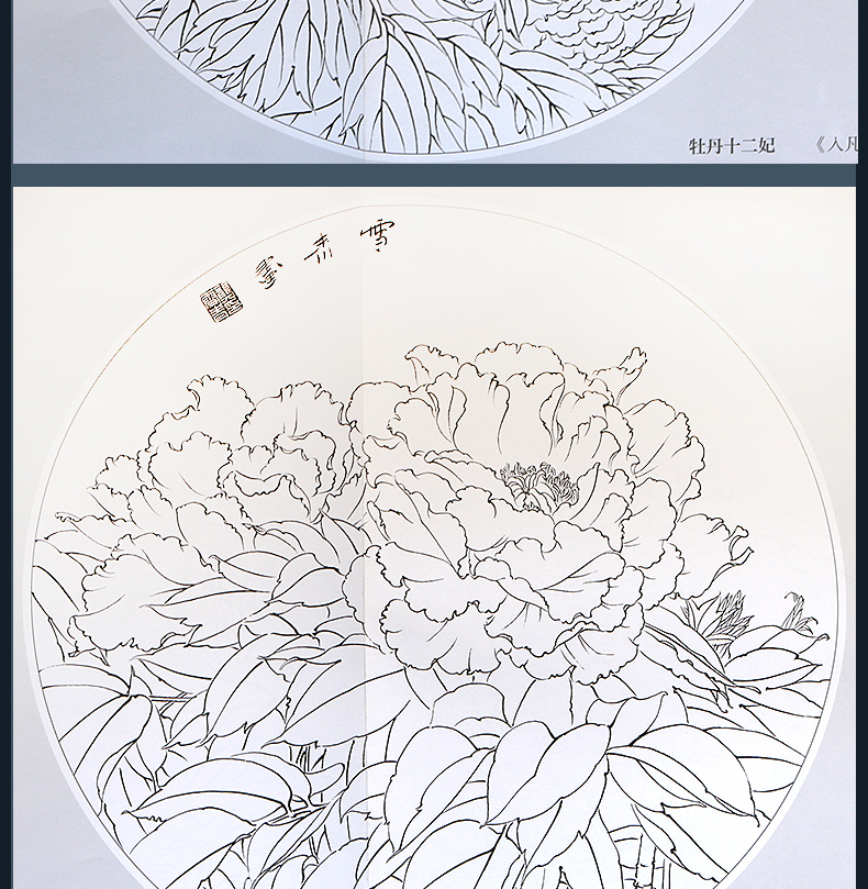 北京工艺美术出版社小品白描画稿工笔牡丹龚雪青绘