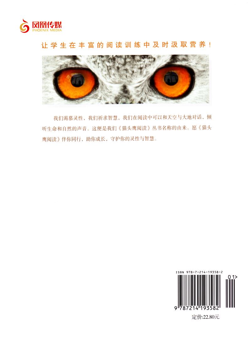 正版现货 猫头鹰阅读 二年级2年级 通用版人教版