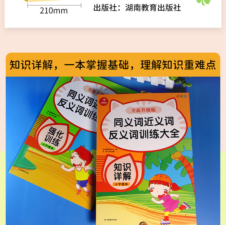 同义词近义词反义词训练大全 知识详解+强化训练(全2册)