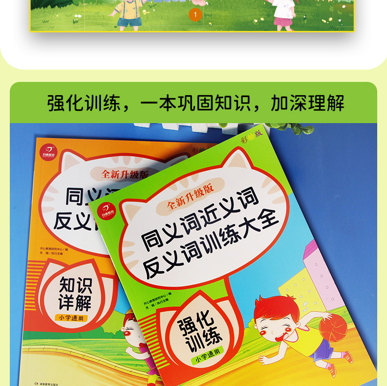 同义词近义词反义词训练大全 知识详解+强化训练(全2册)