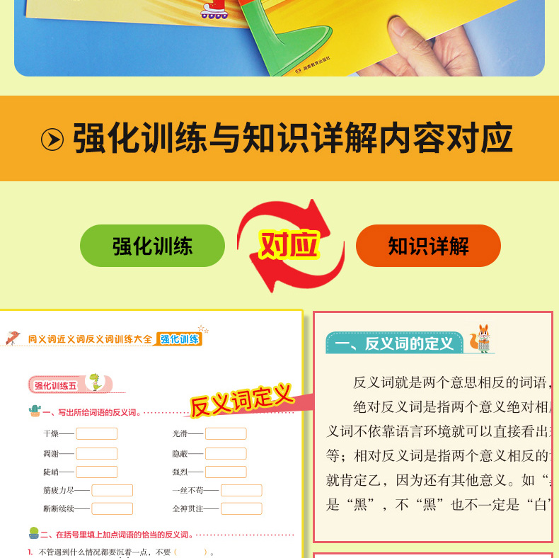 同义词近义词反义词训练大全 知识详解+强化训练(全2册)