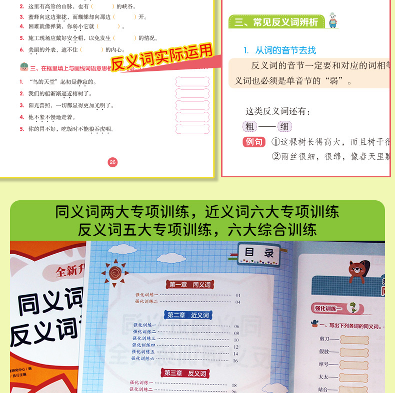 同义词近义词反义词训练大全 知识详解+强化训练(全2册)