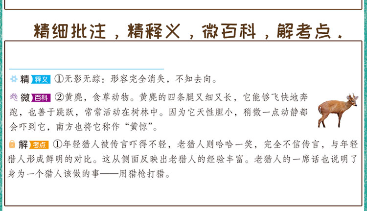 快乐读书吧二年级上（套装5本）小学生二年级阅读课外书必读