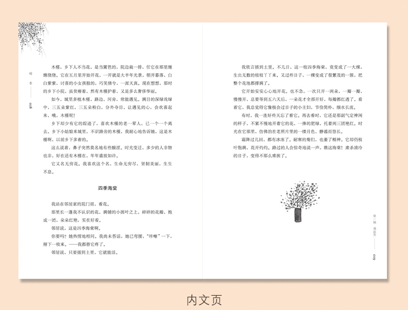 丁立梅散文精选集 暖爱（修订版） 中国现代文学图书 金城出版社