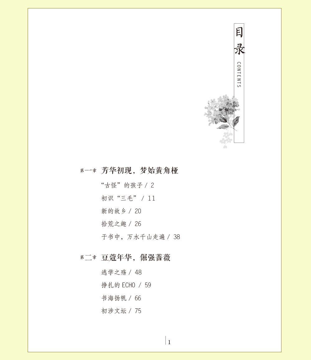 万水千山走遍：三毛传 民国才女民国才女现代随笔散文集 文学畅销书排行榜 现代代小说畅销人物传记文学书籍1209
