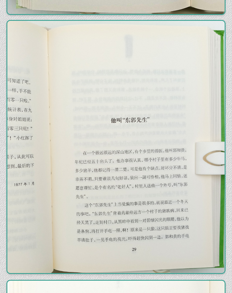 正版童书 金近 狐狸打猎人 儿童文学书籍文学读物
