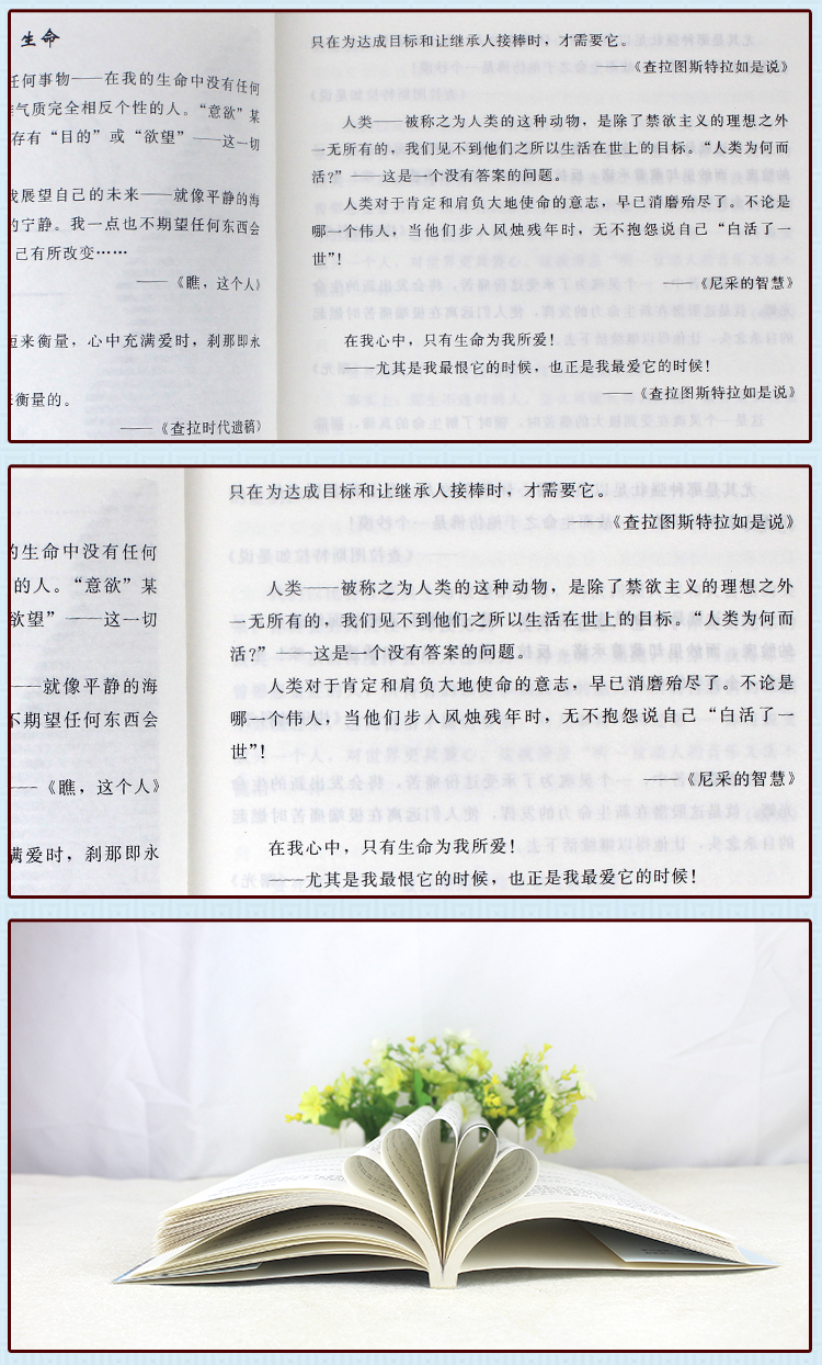 尼采警言录 经典箴言 世界贤哲箴言集萃外国名人名言警句励志