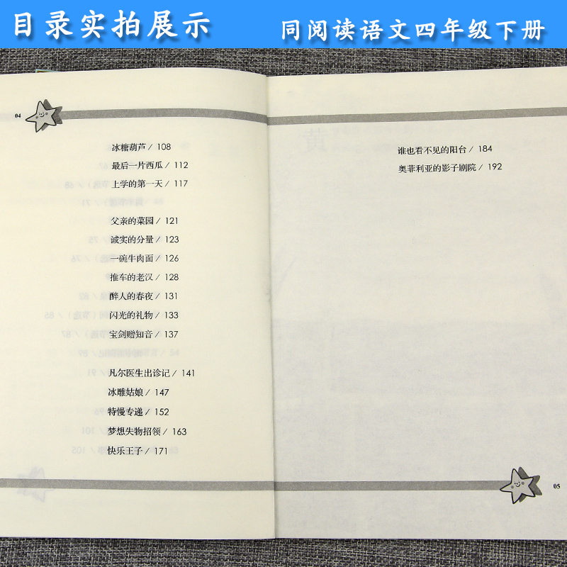 四年级语文下册同步阅读 冰项链 人教部编版 小学生4年级课外阅读专项训练 教育课程标准实验教科书 人民教育出版