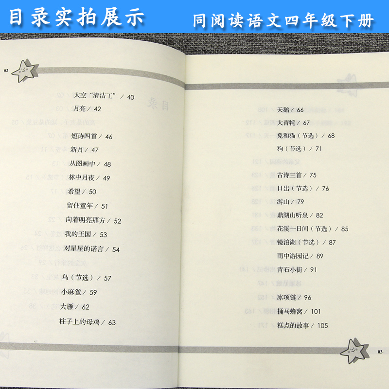 四年级语文下册同步阅读 冰项链 人教部编版 小学生4年级课外阅读专项训练 教育课程标准实验教科书 人民教育出版