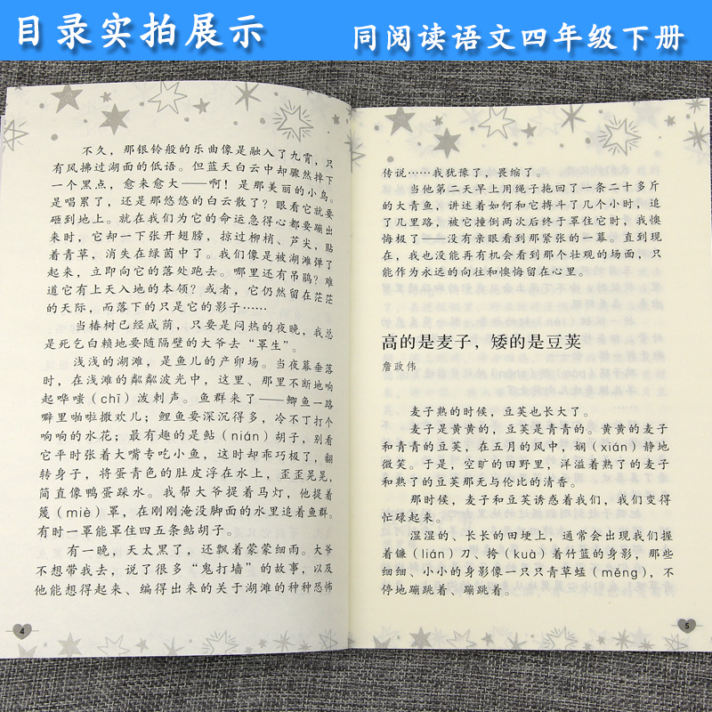 四年级语文下册同步阅读 冰项链 人教部编版 小学生4年级课外阅读专项训练 教育课程标准实验教科书 人民教育出版