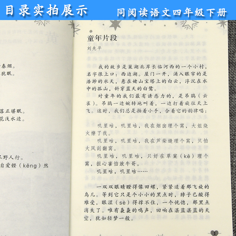 四年级语文下册同步阅读 冰项链 人教部编版 小学生4年级课外阅读专项训练 教育课程标准实验教科书 人民教育出版