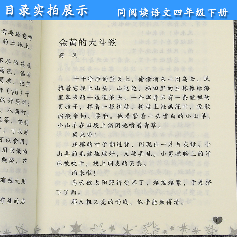 四年级语文下册同步阅读 冰项链 人教部编版 小学生4年级课外阅读专项训练 教育课程标准实验教科书 人民教育出版