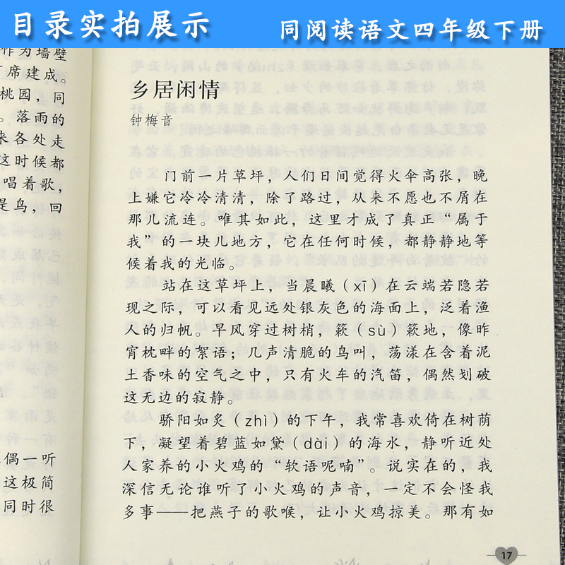 四年级语文下册同步阅读 冰项链 人教部编版 小学生4年级课外阅读专项训练 教育课程标准实验教科书 人民教育出版