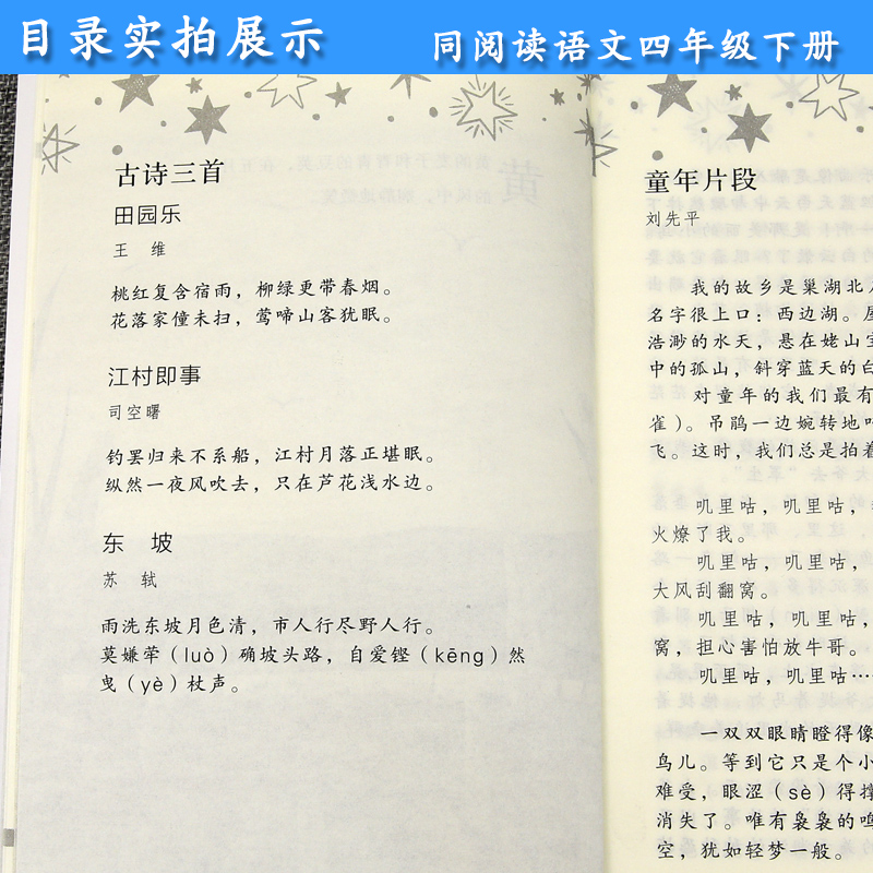 四年级语文下册同步阅读 冰项链 人教部编版 小学生4年级课外阅读专项训练 教育课程标准实验教科书 人民教育出版