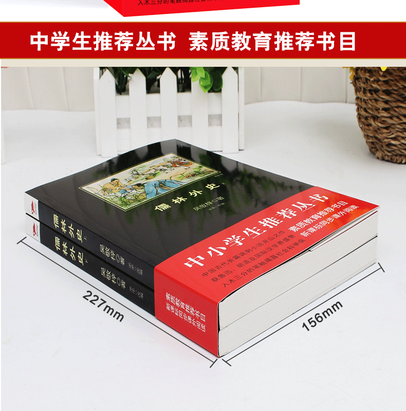 儒林外史和简爱九年级下册必读名著教育部推荐指定用书初三9年级课外必读世界名著青少年无障碍阅读文学书
