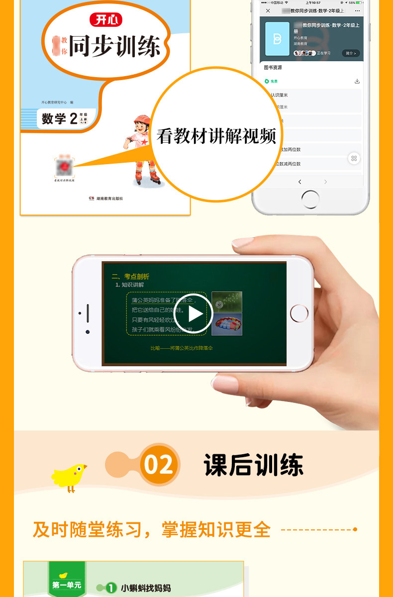 2021秋全新同步训练 语文+数学（套装2册）二年级上册 RJ人教版 配教材讲解视频课 一课一练 答案详解 开心教育