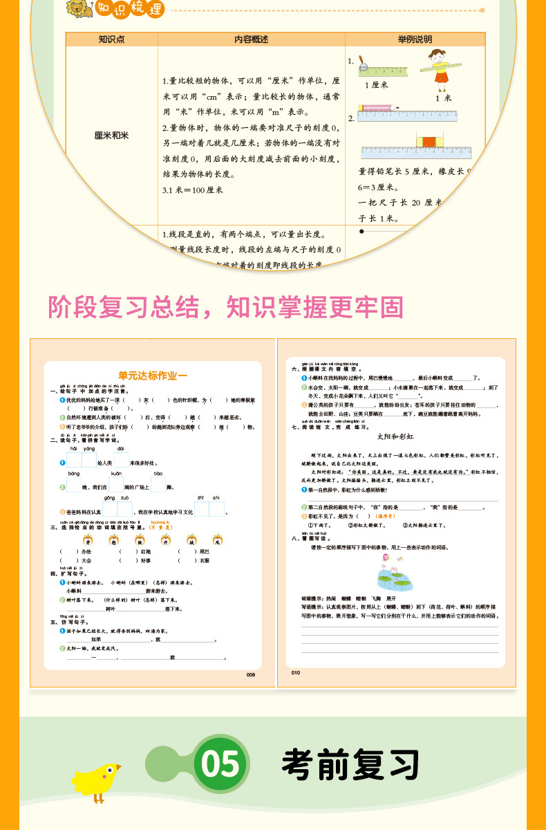 2021秋全新同步训练 语文+数学（套装2册）二年级上册 RJ人教版 配教材讲解视频课 一课一练 答案详解 开心教育