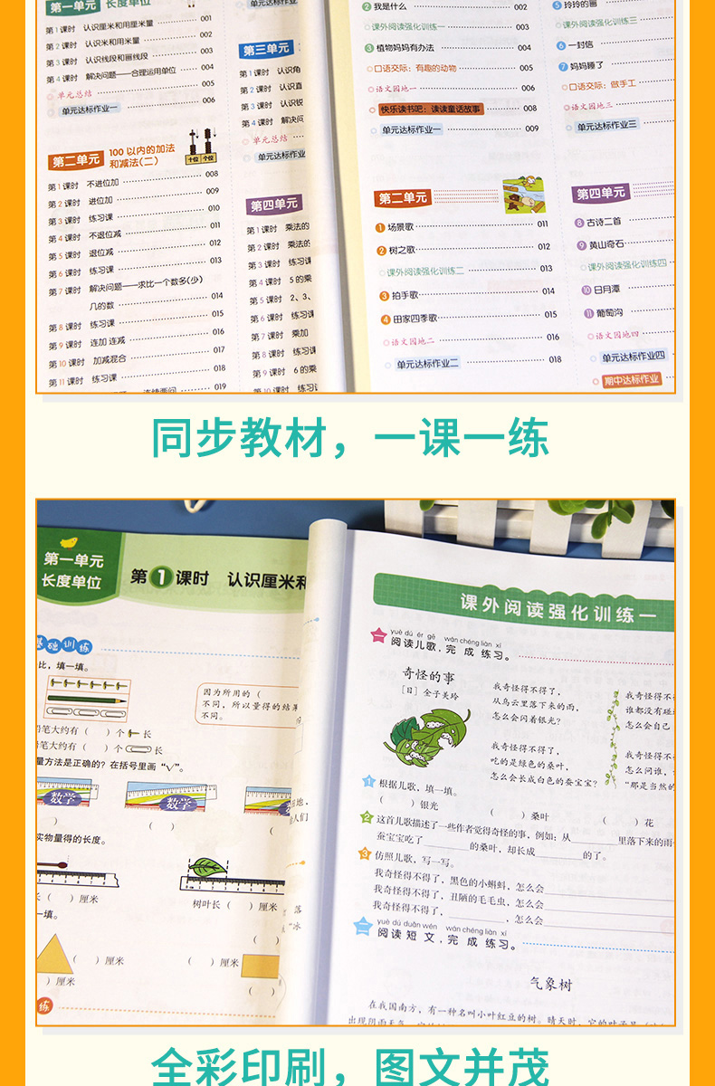 2021秋全新同步训练 语文+数学（套装2册）二年级上册 RJ人教版 配教材讲解视频课 一课一练 答案详解 开心教育