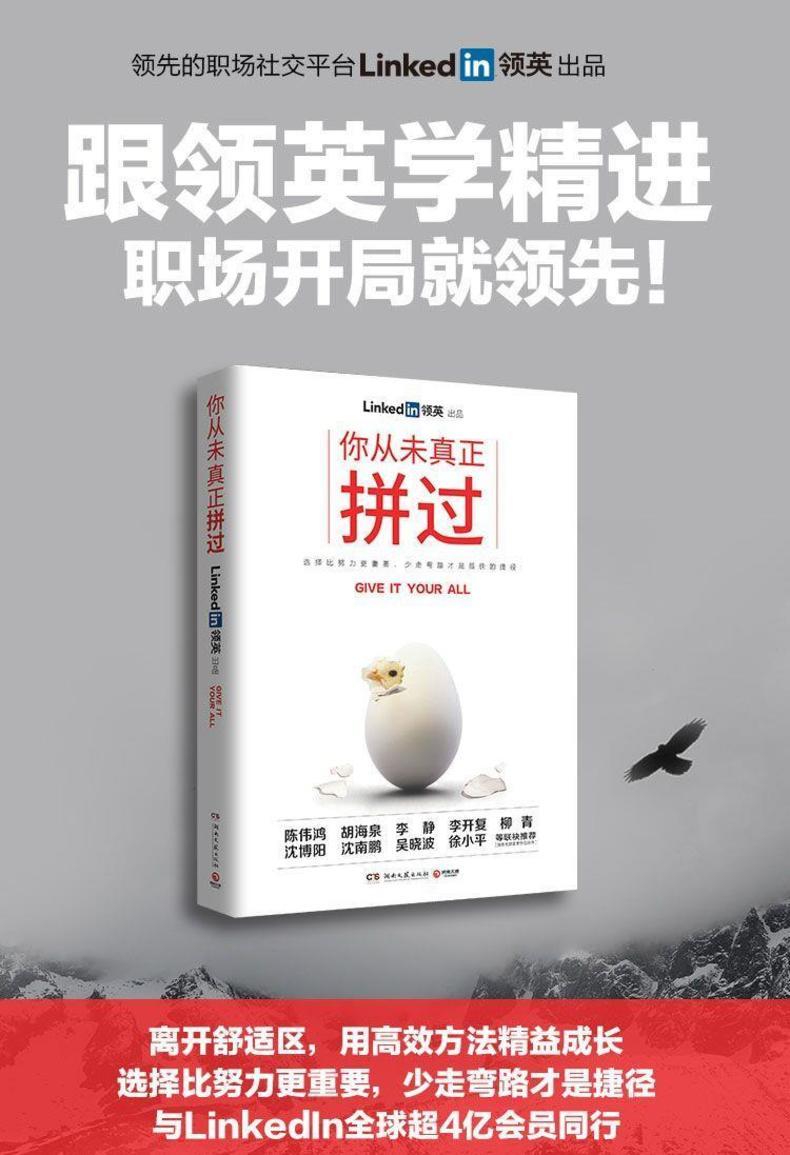 《你从未真正拼过》