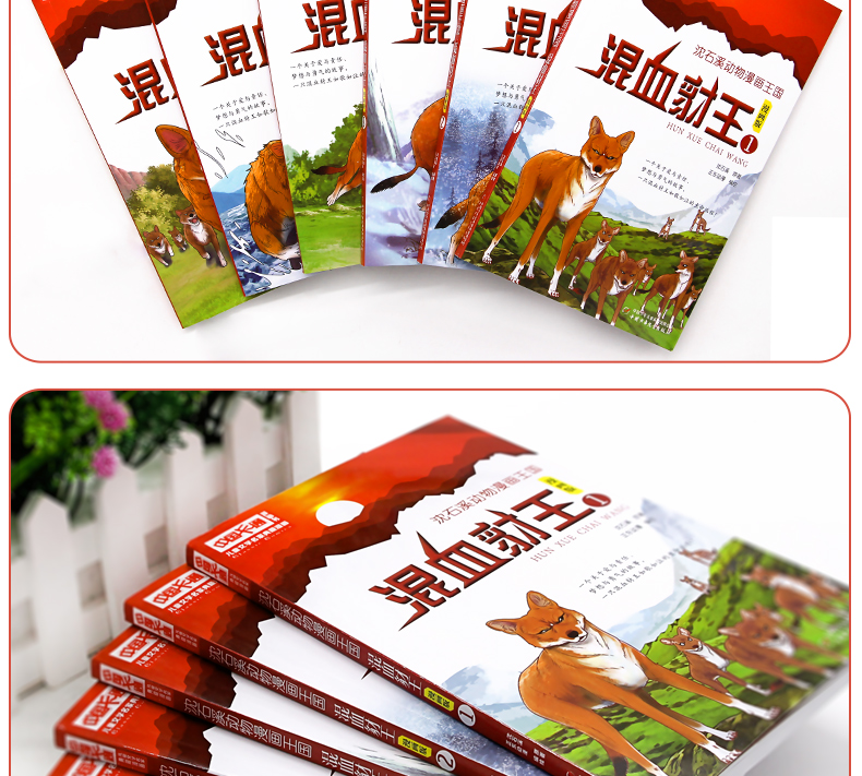 混血豺王漫画版全6册沈石溪
