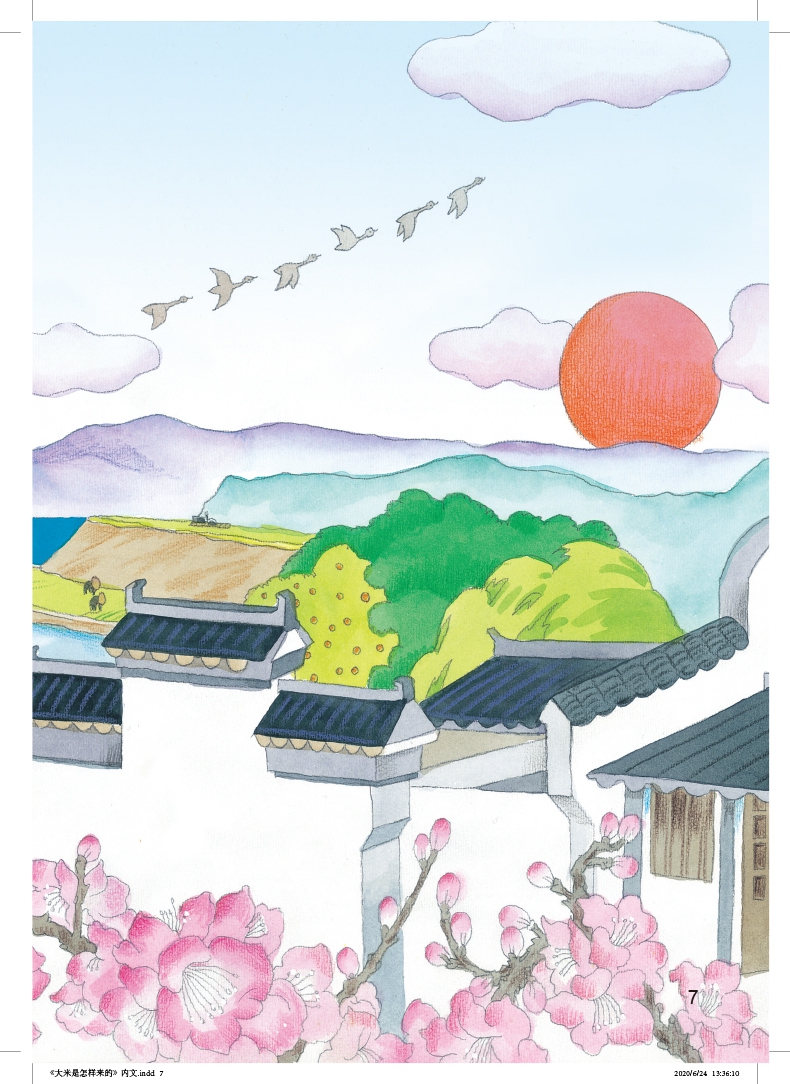 《大米是怎么来的（精装）》（岑建强/文；陈大元 张蔚昕/图）