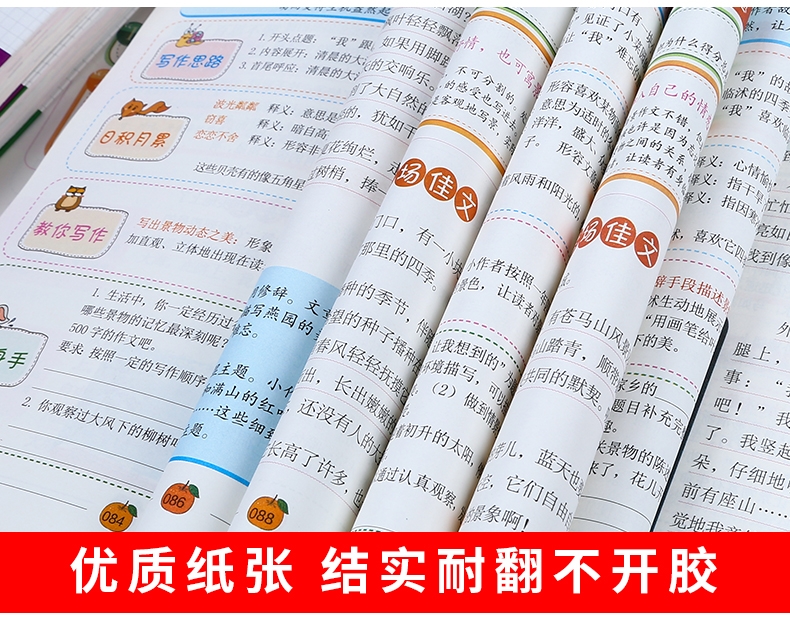 《小学生功能分类作文（三）》（张芳）