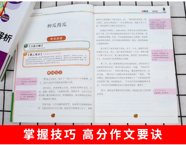 《小学生功能分类作文（三）》（张芳）