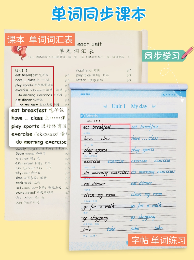 《英语写字(5下PEP)》（刘雪莹）