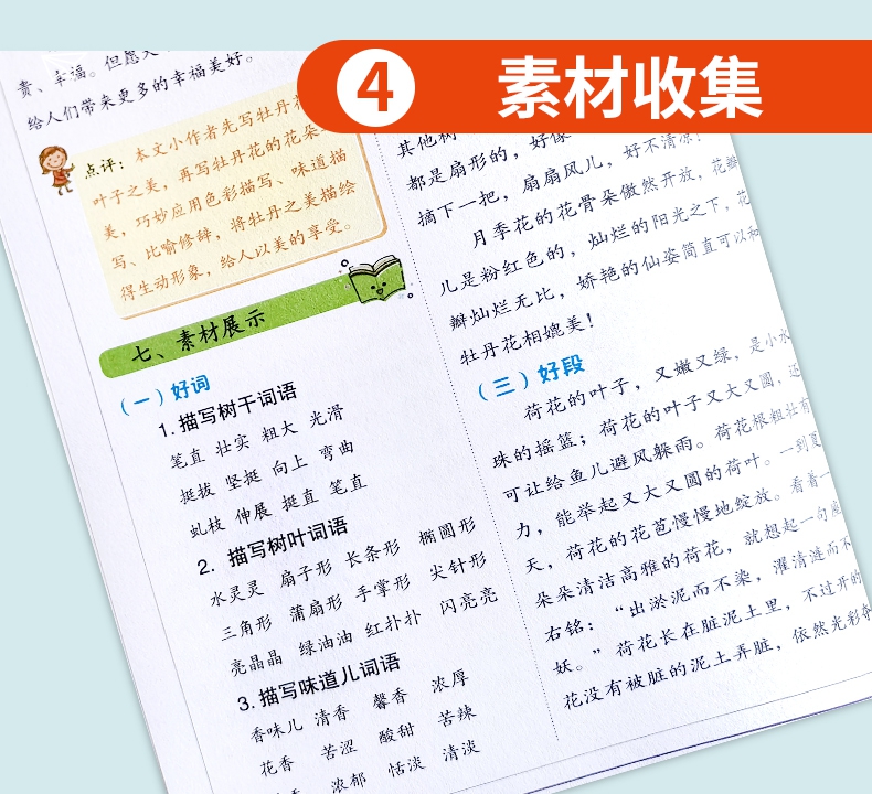 《三年级阅读与写作（上册共2本）：跟着课文学写作+同步单元作文》（张芳）